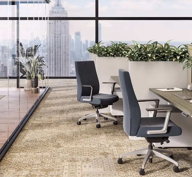 Task Chairs SOI Prava